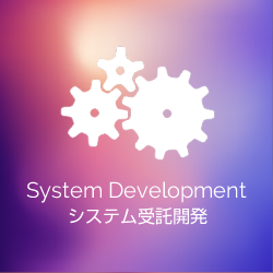 System Development